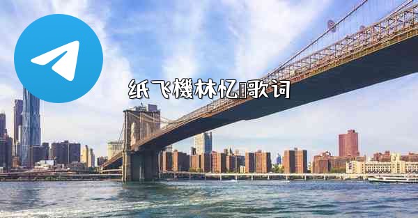 纸飞機林忆莲歌词