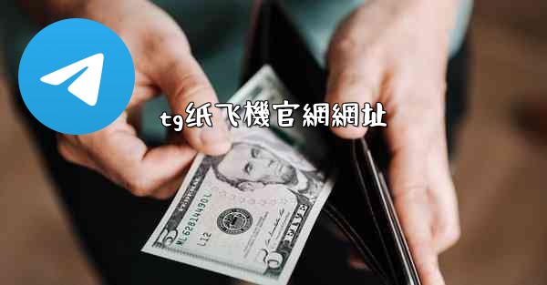 tg纸飞機官網網址