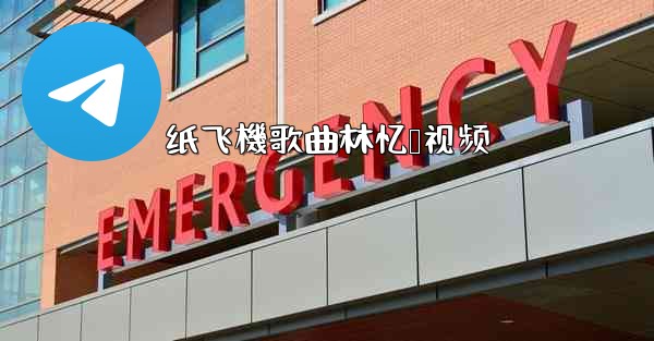 纸飞機歌曲林忆莲视频