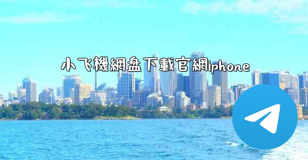 小飞機網盘下載官網iphone