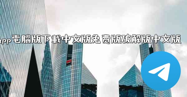 纸飞機app電腦版下載中文版免费版破解版中文版