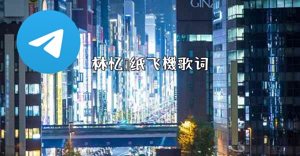 林忆莲纸飞機歌词