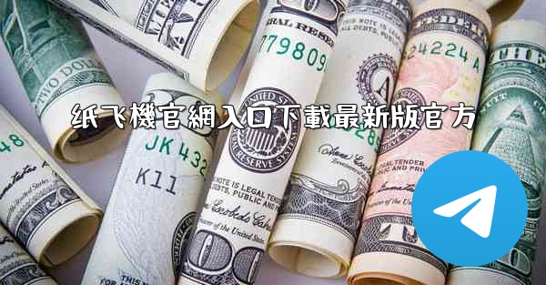 纸飞機官網入口下載最新版官方