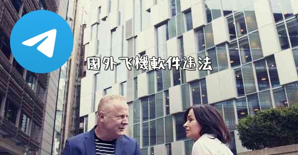 國外飞機軟件违法