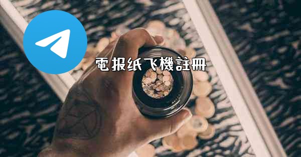 電报纸飞機註冊