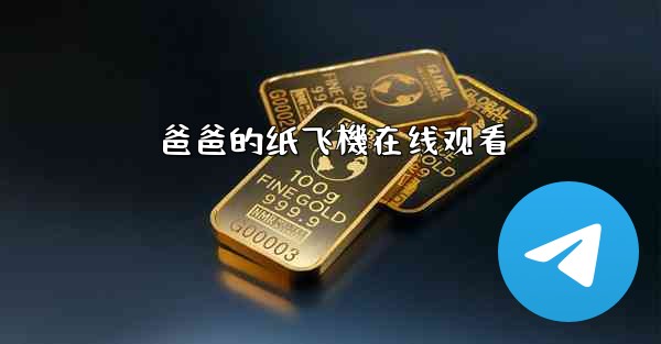 爸爸的纸飞機在线观看