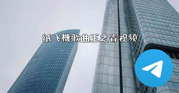 纸飞機歌曲王之睿视频
