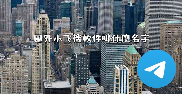 國外小飞機軟件叫什麼名字