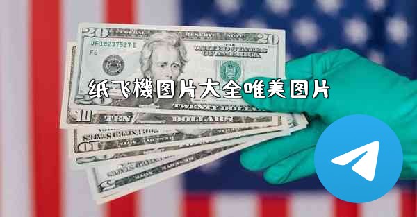 纸飞機图片大全唯美图片