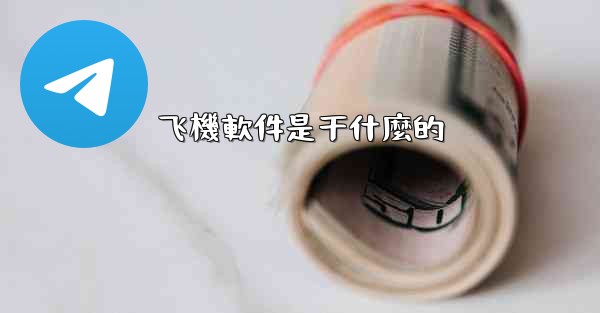 飞機軟件是干什麼的