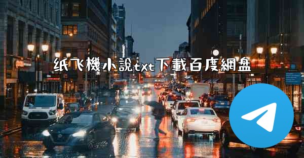 纸飞機小說txt下載百度網盘