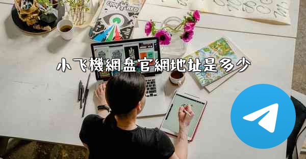 小飞機網盘官網地址是多少