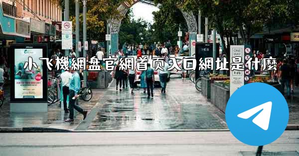 小飞機網盘官網首页入口網址是什麼