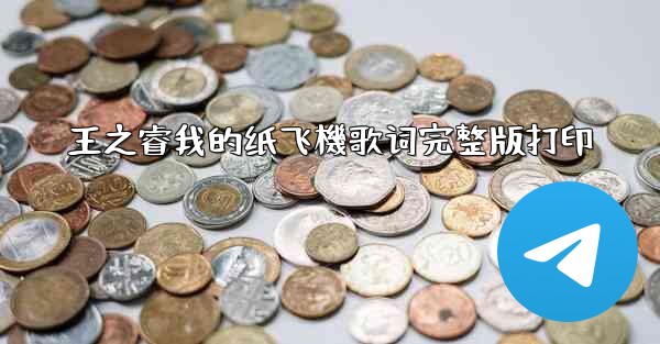 王之睿我的纸飞機歌词完整版打印