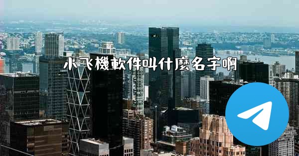 小飞機軟件叫什麼名字啊