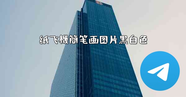 纸飞機簡笔画图片黑白色