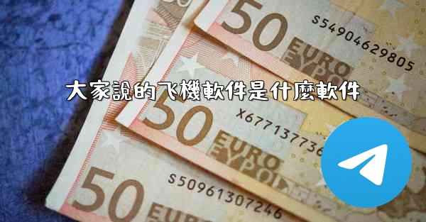 大家說的飞機軟件是什麼軟件