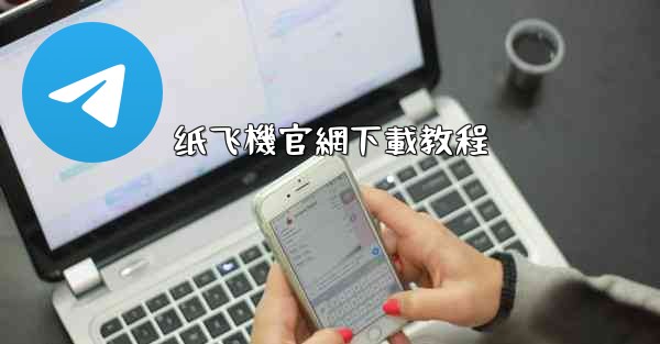 纸飞機官網下載教程