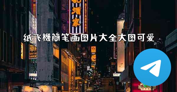 纸飞機簡笔画图片大全大图可爱