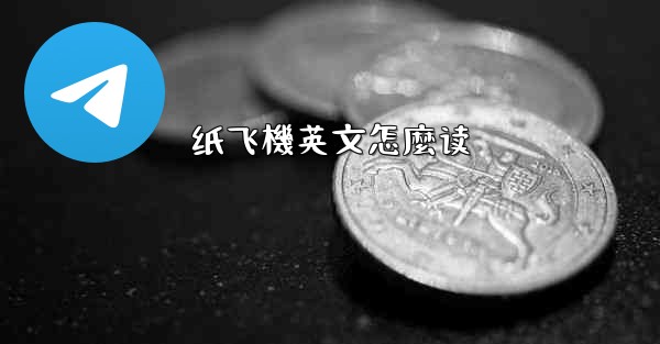 纸飞機英文怎麼读