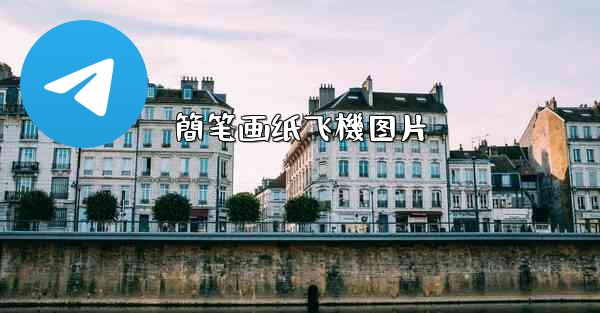 簡笔画纸飞機图片