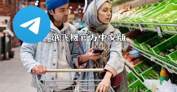 纸飞機官方中文版