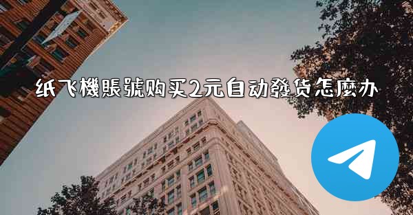 纸飞機賬號购买2元自动發货怎麼办