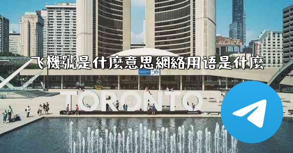飞機號是什麼意思網絡用语是什麼