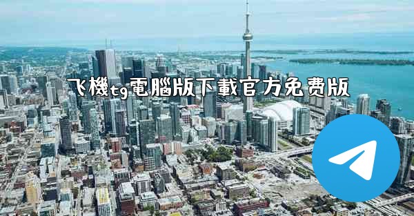 飞機tg電腦版下載官方免费版