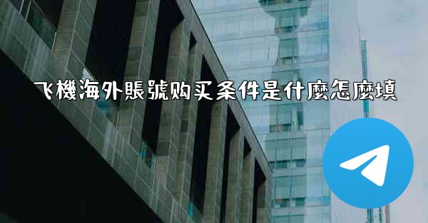 飞機海外賬號购买条件是什麼怎麼填
