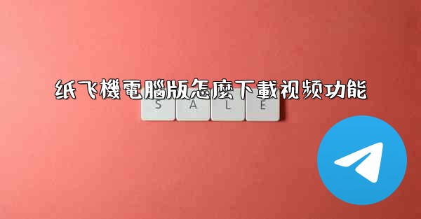 纸飞機電腦版怎麼下載视频功能
