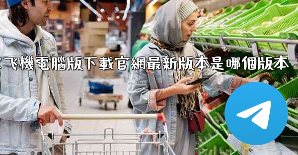 簡單飞機電腦版下載官網最新版本是哪個版本