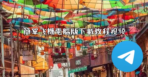 簡單飞機電腦版下載教程视频
