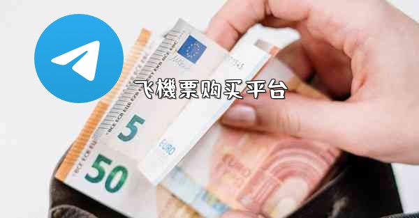 飞機票购买平台