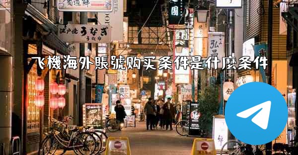 飞機海外賬號购买条件是什麼条件