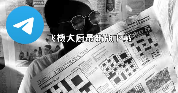 飞機大厨最新版下載