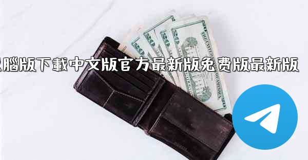 飞機app電腦版下載中文版官方最新版免费版最新版