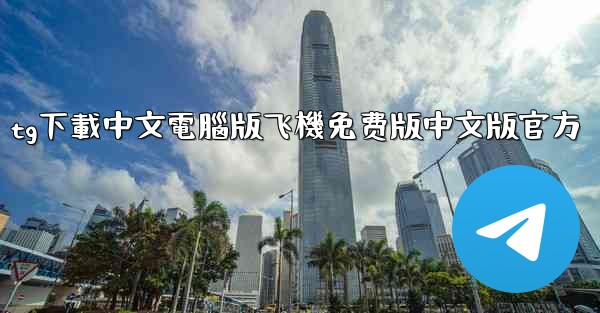 tg下載中文電腦版飞機免费版中文版官方