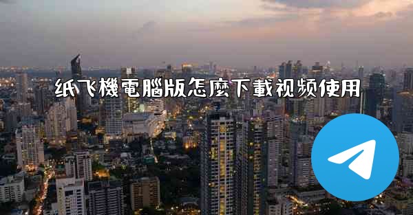 纸飞機電腦版怎麼下載视频使用