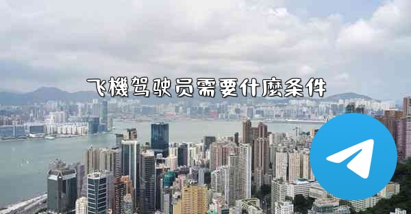 飞機驾驶员需要什麼条件