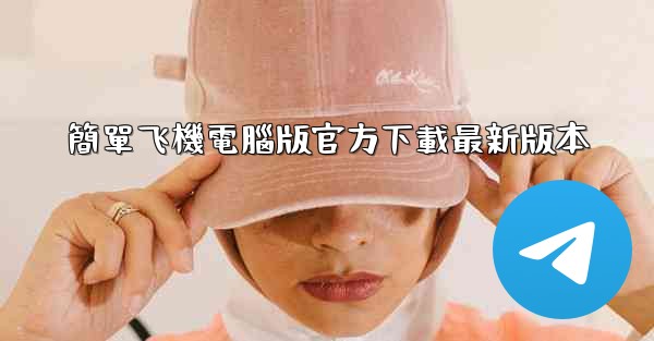 簡單飞機電腦版官方下載最新版本