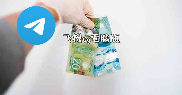 飞機tg電腦版