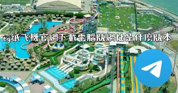 tg纸飞機官網下載電腦版網址是什麼版本