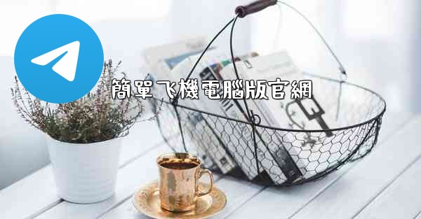 簡單飞機電腦版官網