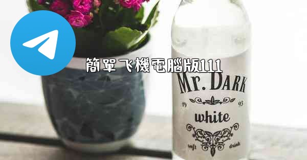 簡單飞機電腦版111