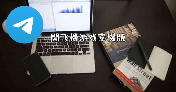 開飞機游戏單機版
