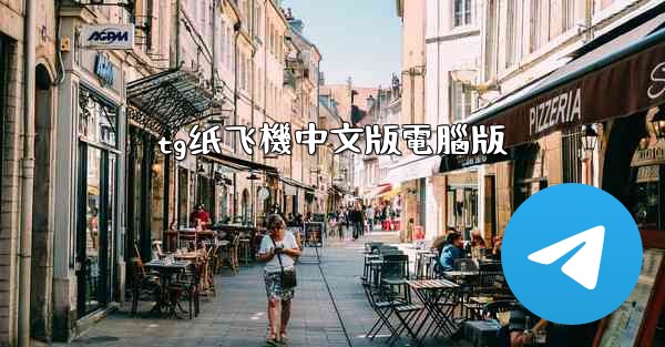 tg纸飞機中文版電腦版