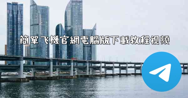 簡單飞機官網電腦版下載教程视频