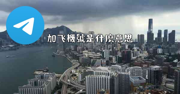 加飞機號是什麼意思