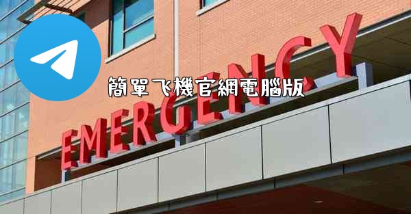 簡單飞機官網電腦版